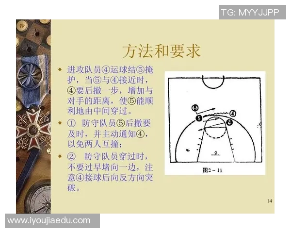 北京排球队区域防守体系解析与战术应用探讨